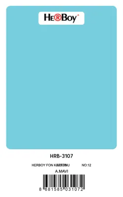 HERBOY FON KARTONU 50x70 AÇIK MAVİ NO:12 160 GR 100 LÜ HRB-3107