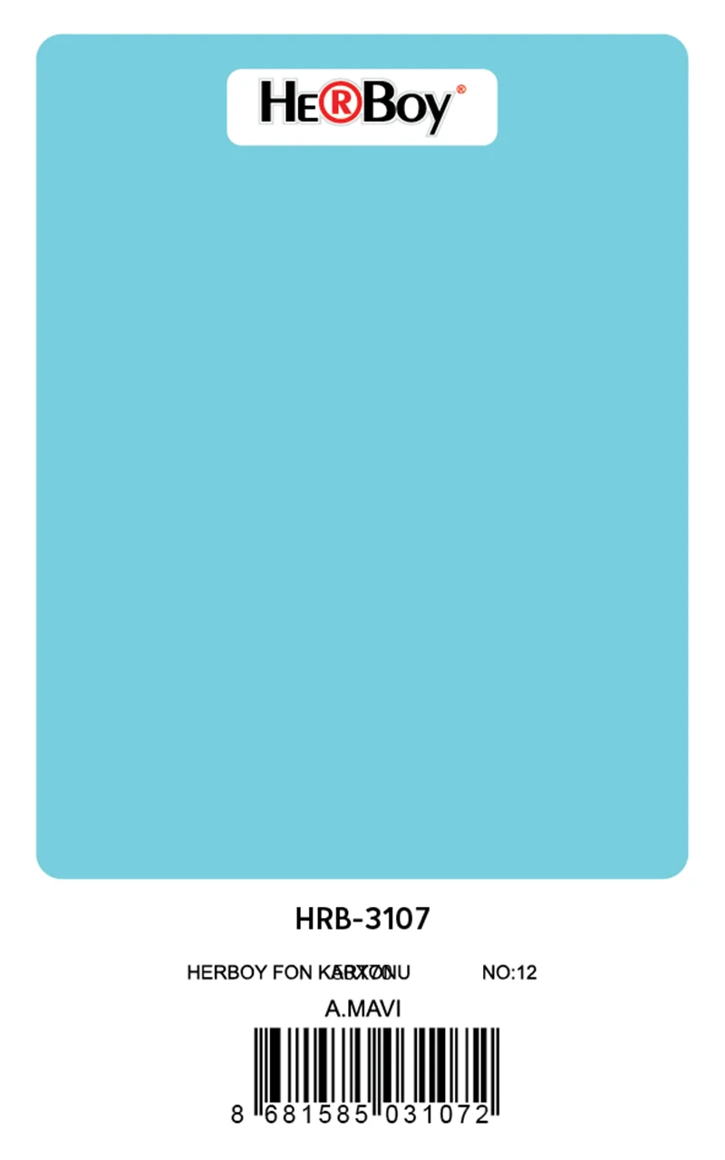 HERBOY FON KARTONU 50x70 AÇIK MAVİ NO:12 160 GR 100 LÜ HRB-3107