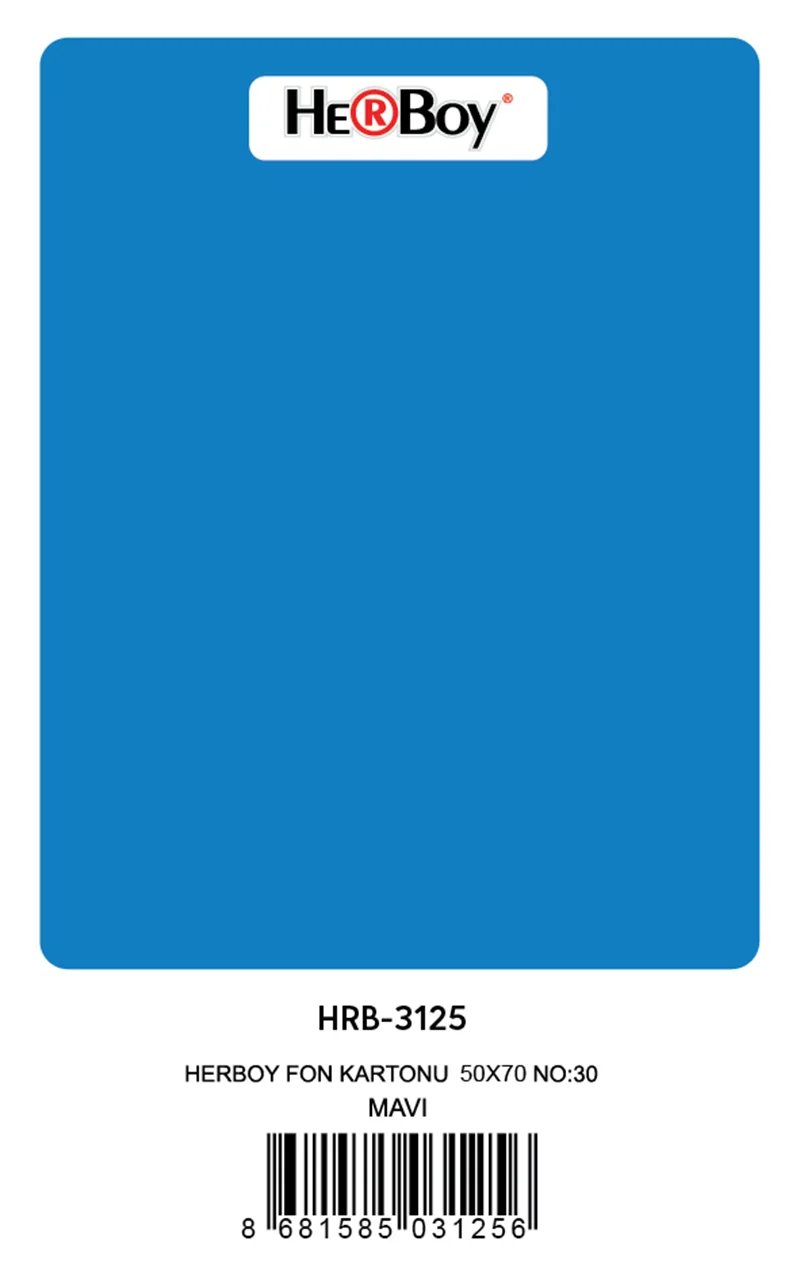 HERBOY FON KARTONU 50x70 KOYU MAVİ NO:30 160 GR 100 LÜ HRB-3125