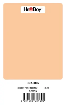 HERBOY FON KARTONU 50x70 SOMON NO:14 160 GR 100 LÜ HRB-3109