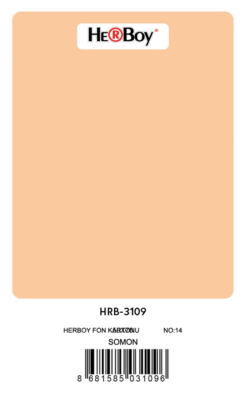 HERBOY FON KARTONU 50x70 SOMON NO:14 160 GR 100 LÜ HRB-3109