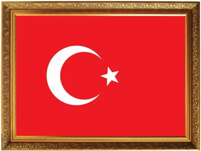 PANDA EĞİTİM ATATÜRK KÖŞESİ YALDIZLI ÇERÇEVELİ BAYRAK 40x60 PAN 643