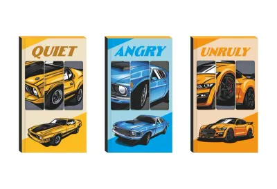 PASİF LİLAMOR DEFTER CLASSIC CAR 9X16 48 SYF.60'LI DISPLAY (5 ASS.) LLM-DF0916-CC01