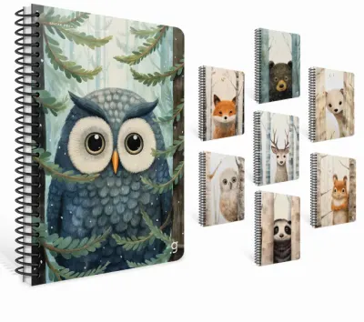 GIPTA DEFTER SNEAK PEEK 17x24 SPİRALLİ KARTON KAPAK 80 YP. KARELİ 7293