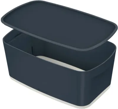 LEITZ SAKLAMA KUTUSU COSY MYBOX KAPAKLI KÜÇÜK  L-5263 GRİ