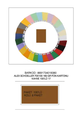 ALEX FON KARTONU 160GR 70X100 KAHVE 100 LÜ 17