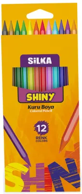 SİLKA KURU BOYA HEX SHINY 12 RENK TAM BOY ART.86