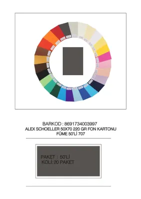 ALEX FON KARTONU 220GR 50X70 FÜME 50 Lİ 707