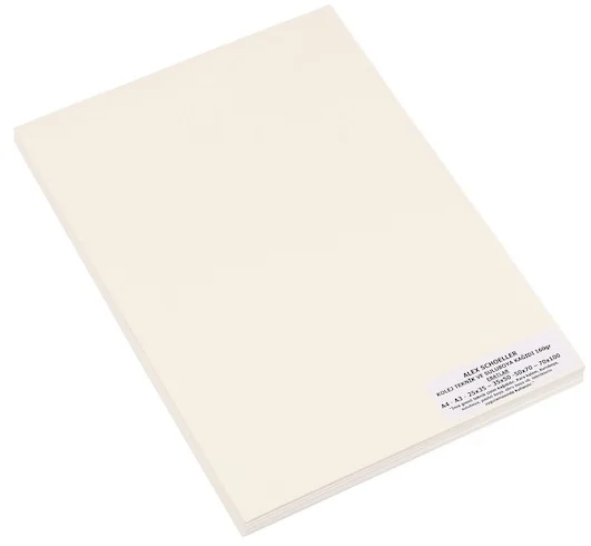 ALEX SULUBOYA KAĞIDI 200GR 25x35 100 LÜ ALX-2714