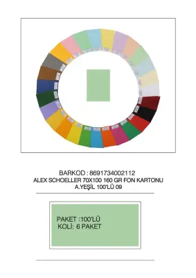 ALEX FON KARTONU 160GR 70X100 AÇIK YEŞİL 100LÜ 09