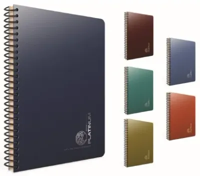 GIPTA DEFTER PLATINUM 17X24 SPİRALLİ PP KAPAK 100 YP. KARELİ 5693
