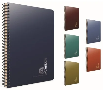 GIPTA DEFTER PLATINUM 17X24 SPİRALLİ PP KAPAK 100 YP. KARELİ 5693
