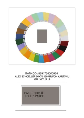ALEX FON KARTONU 160GR 50X70 GRİ 100 LÜ 12