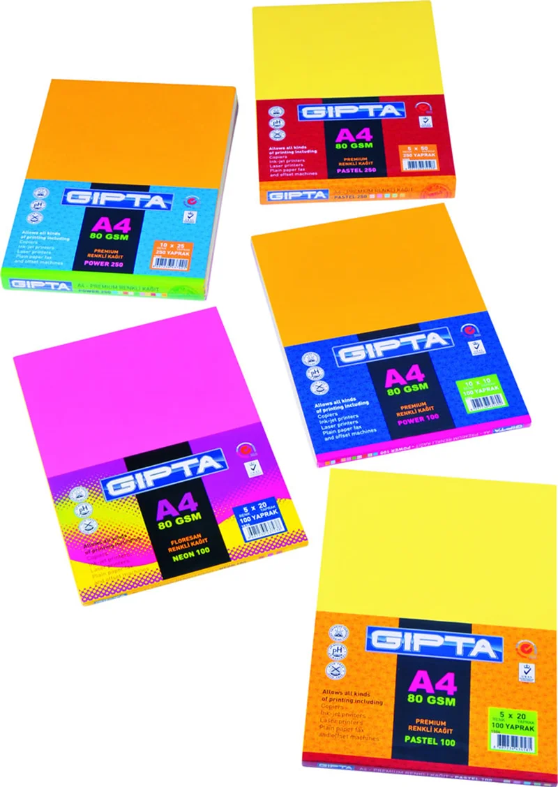 GIPTA FOTOKOPİ KAĞIDI RENKLİ A4 5x20 RENK NEON 100 LÜ 1530