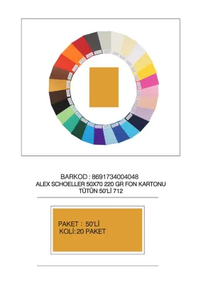 ALEX FON KARTONU 220GR 50X70 TÜTÜN 50 Lİ 712