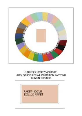 ALEX FON KARTONU 160GR A4 SOMON 10 LÜ 05