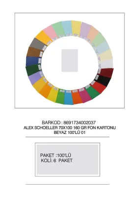 ALEX FON KARTONU 160GR 70X100 BEYAZ 100 LÜ 01
