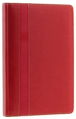 LİZ AJANDA 17x24 THERMO DERİ KALEMLİKLİ AJ7017