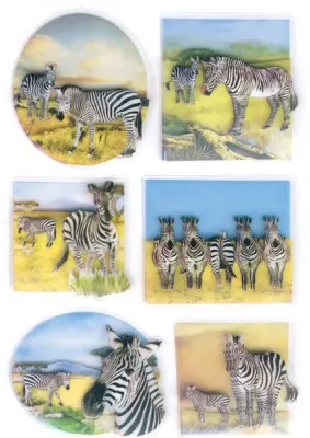 HERMA ETİKET MAGIC 3D FOIL ZEBRALAR 6254