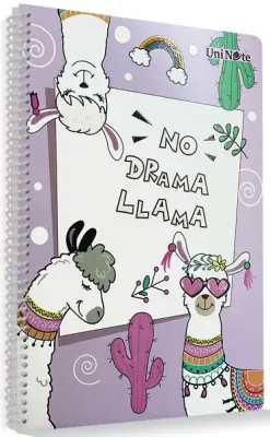 ÇINAR DEFTER A4 DREAM SPİRALLİ PP KAPAK 96 YP. KARELİ 72511