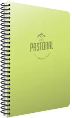 GIPTA DEFTER PASTORAL A4 SPİRALLİ PP KAPAK 40 YP. KARELİ 6081