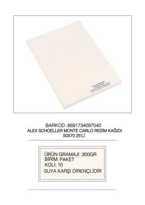 ALEX SULUBOYA KAĞIDI MONTE CARLO 300GR 50x70 25 Lİ 300.50