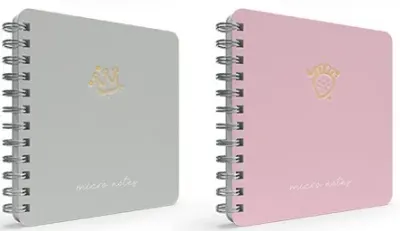 GIPTA DEFTER MICRO NOTES 16x16 SPİRALLİ SERT KAPAK 100 YP. KARELİ 6440
