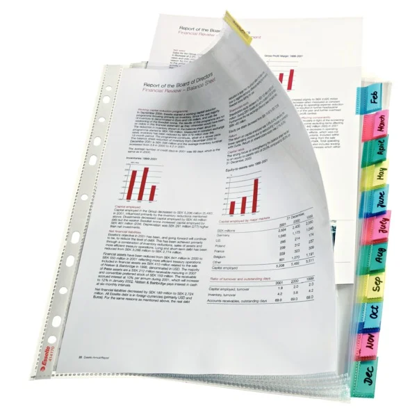 ESSELTE POŞET DOSYA AYRAÇLI 12SY 414170