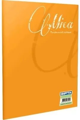 GIPTA DEFTER MICA A4 TEL DİKİŞLİ PP KAPAK 80 YP. KARELİ 1708