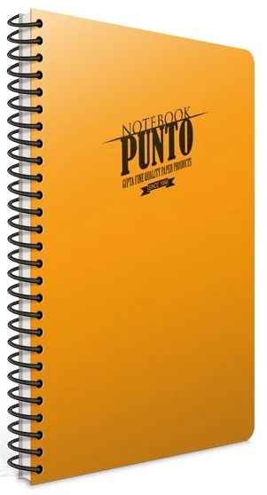 GIPTA DEFTER PUNTO A4 SPİRALLİ PP KAPAK 160 YP. KARELİ 6543