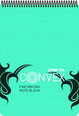 GIPTA BLOKNOT CONVEX A4 SPİRALLİ PP KAPAK 100 YP. ÇİZGİLİ 1393