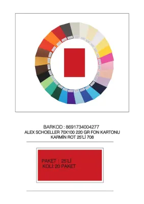 ALEX FON KARTONU ARTİST 220GR 70X100 KARMİN 25 Lİ 708