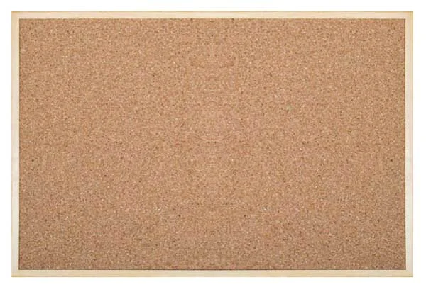 İNTER MANTAR PANO EKO ÇERÇEVE 30X45 510