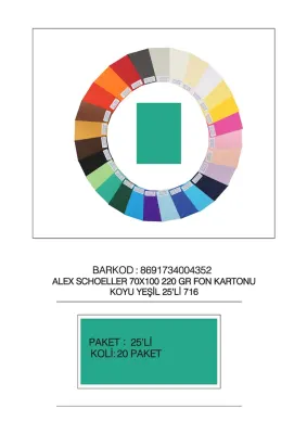 ALEX FON KARTONU ARTİST 220GR 70X100 K.YEŞİL 25 Lİ 716