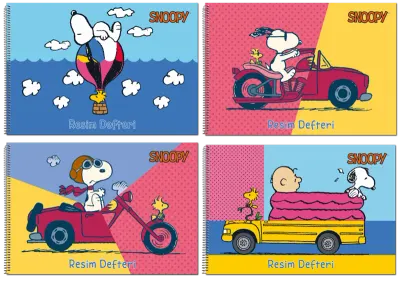 GIPTA SNOOPY SP.RESİM DEF.17x24-15 YP. 3-7315000-2011