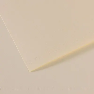 CANSON FON KARTONU MI-TEINTS 50x65 160 GR ( 25 Lİ PAKET ) ZAMBAK 110 200321324