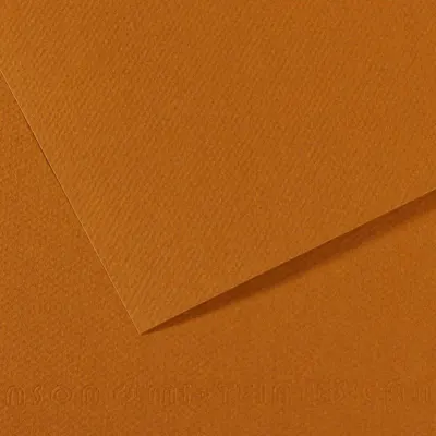 CANSON FON KARTONU MI-TEINTS 50x65 160 GR ( 25 Lİ PAKET ) HAVANA 502 200321184
