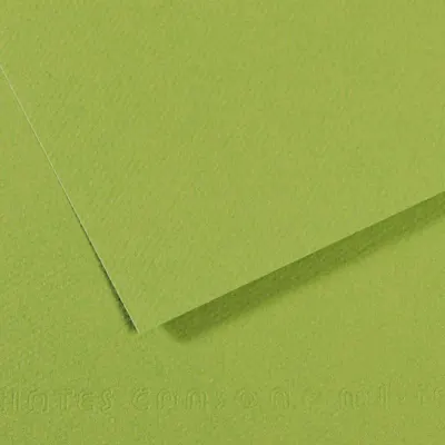 CANSON FON KARTONU MI-TEINTS A4 160 GR ( 50 Lİ PAKET ) APPLE GREEN 475 200321674