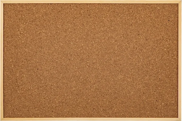 İNTER MANTAR PANO EKO ÇERÇEVE 60X90 512