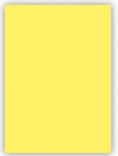 KESKİN FON KARTONU 50X70 HAMURDAN BOYALI 160GR AÇIK SARI 202113