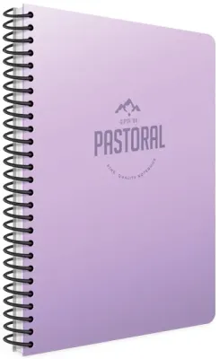 GIPTA DEFTER PASTORAL 17x24 SPİRALLİ PP KAPAK 72 YP. ÇİZGİLİ 3251