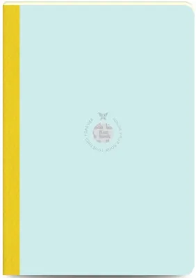 FLEX BOOK DEFTER 17x24 AÇIK MAVİ 160SF.ÇİZGİLİ  FB 36