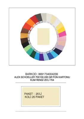 ALEX FON KARTONU ARTİST 220GR 70X100 KUM RENGİ 25 Lİ 704