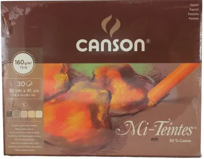 CANSON PASTEL BOYA BLOĞU 32x41 160 GR 30 SF 5CL TERRE 400030146