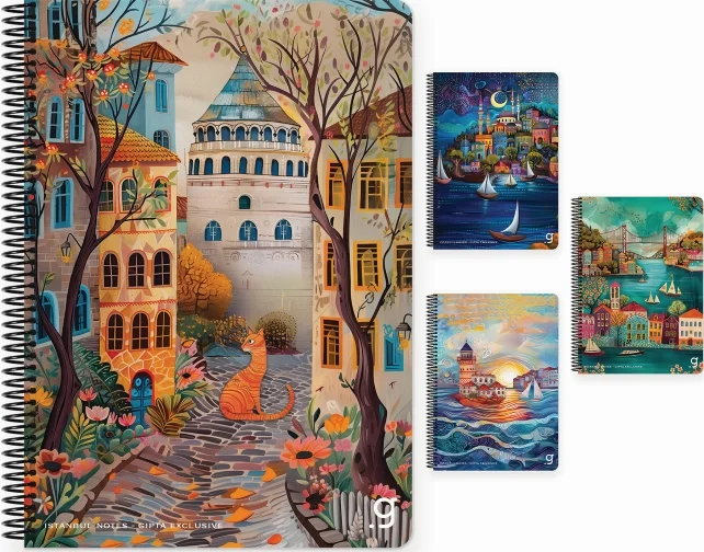 GIPTA DEFTER İSTANBUL 17x24 SPİRALLİ SERT KAPAK 80 YP ÇİZGİLİ 7335