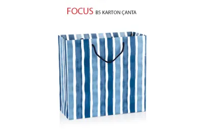 GIPTA KARTON ÇANTA FOCUS B5 BG28510