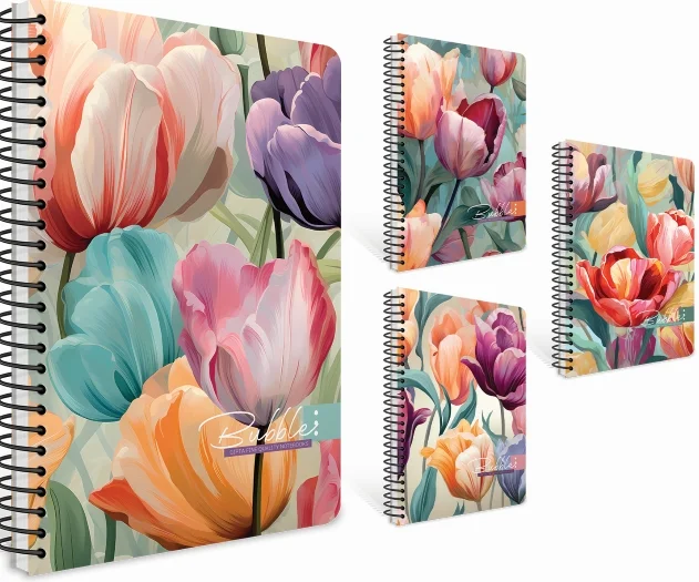 GIPTA DEFTER BUBBLE BOOK A6 SPİRALLİ SERT KAPAK 100 YP DÜZ 7430