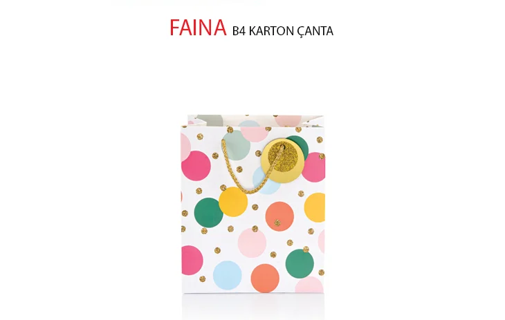 GIPTA KARTON ÇANTA FAINA B4 BG28640