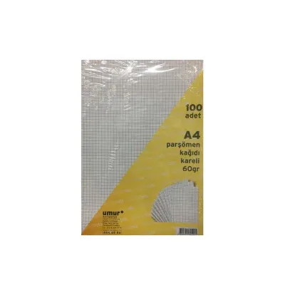 UMUR A4 PARŞÖMEN KARELİ 100 LÜ 30001632