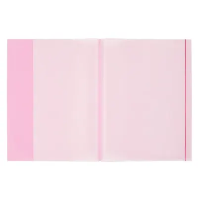 Bigpoint A4 Hazır Defter Kabı 5'li Paket Şeffaf Kırmızı